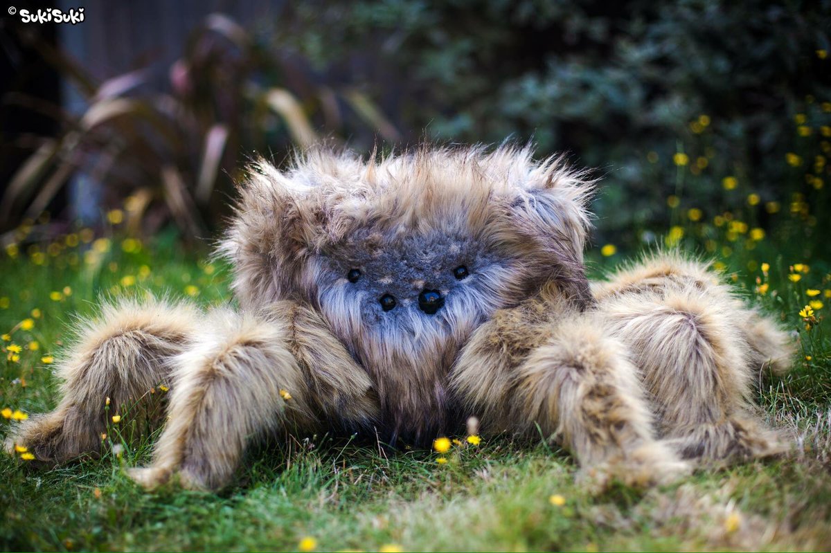 Big Fluffy Penelope keeping watch of the garden #spiderplush #fiberart #softsculpture #spider #jumpingspider #halloween