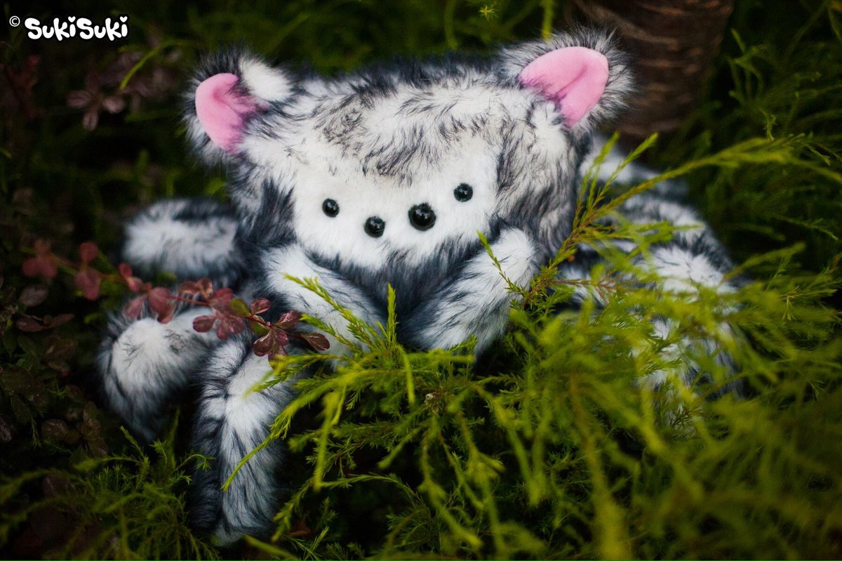 Yup.. It's a Spiderkitty hiding in the bushes! #spiderkitty #spider #spiderplush #plush #fiberart #softsculpture #kitty #cat #halloween
