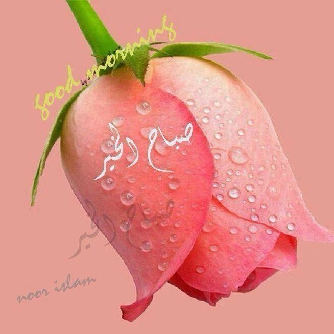 4a45792be4e44ac's tweet photo. أجمل الوجوه في الصباح ليست أحلاها خِلقة .. وإنما أكثرها إبتسامة صباحكم مُبتسم! https://t.co/TafJYZavHb