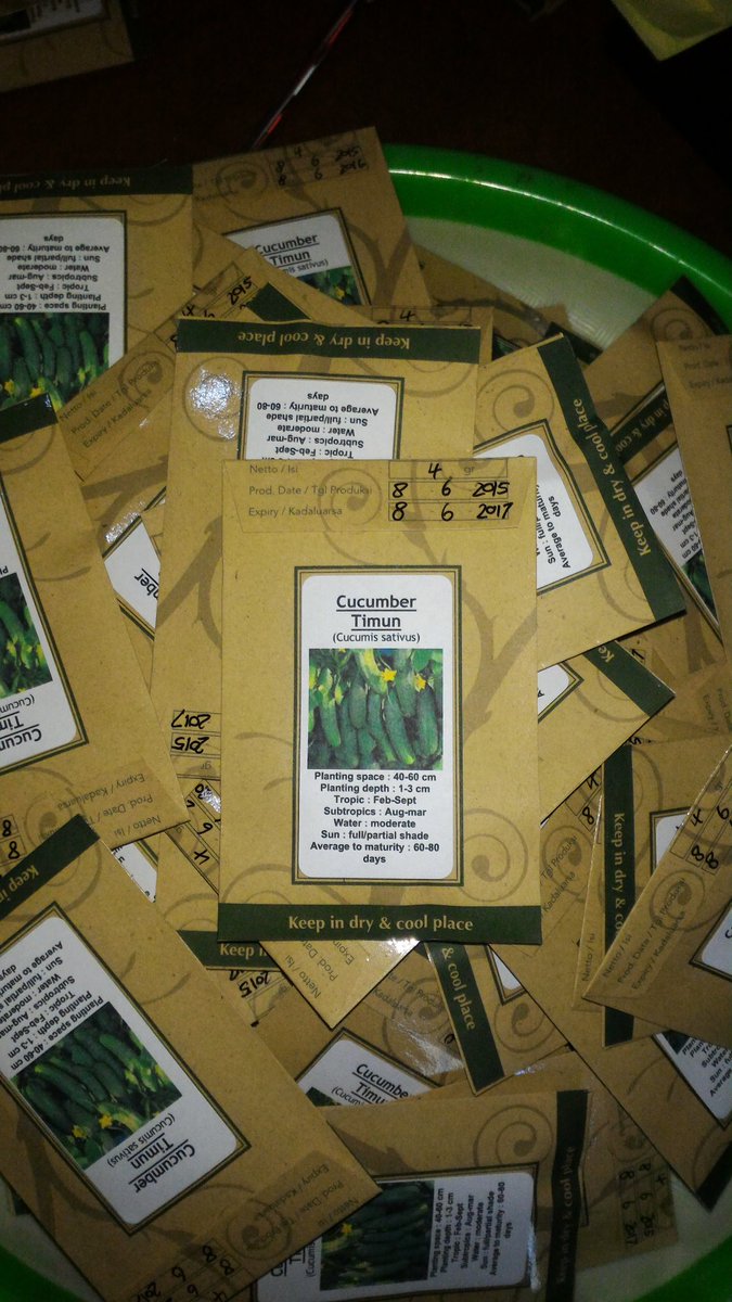 Organic Cucumber seeds. From Idep Foundation Bali. Only 25k. #stopGMO #againstMonsanto #Organicseeds #Baliseeds