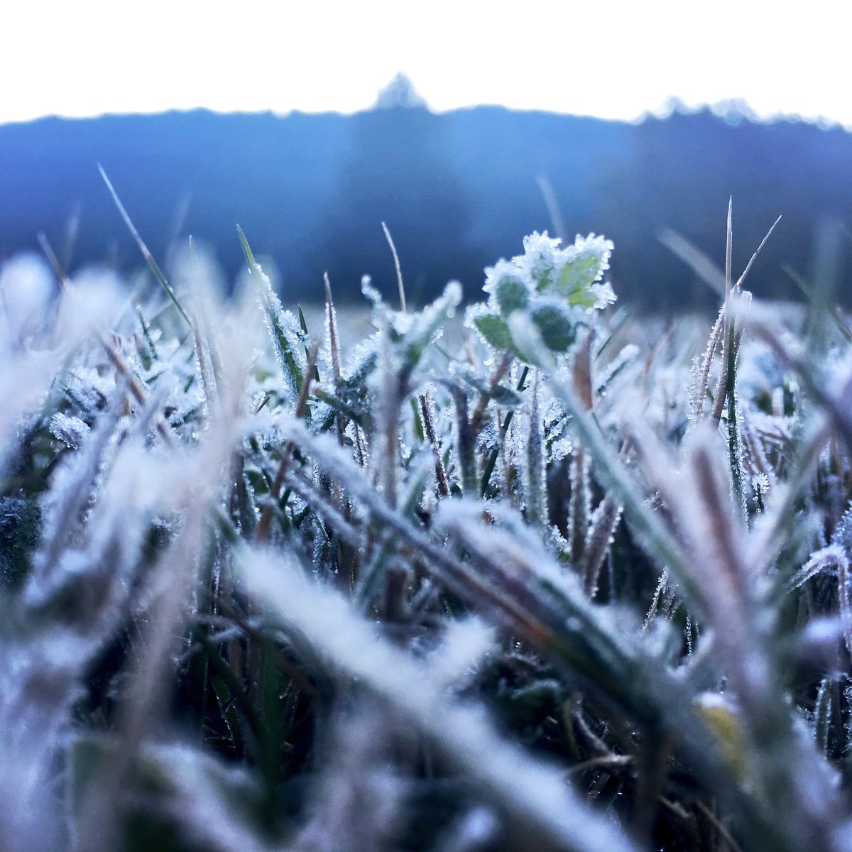 lesgetsnews's tweet image. L'hiver arrive petit à petit !
Winter is coming little by little ! #winteriscoming #LesGets