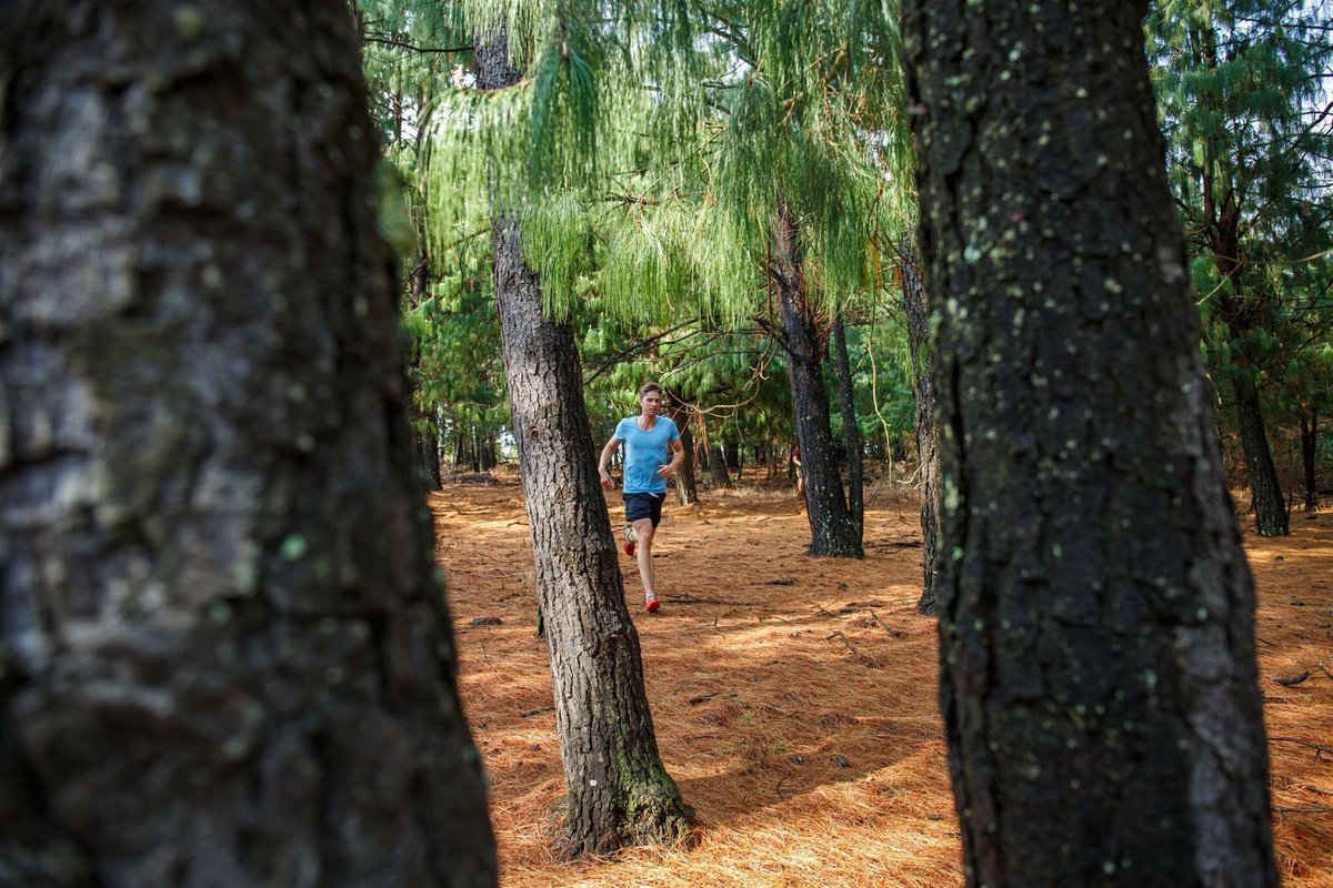 Our next event finds us in Underberg for the <a href="/glencairntr/">Glencairn Trail Run</a>. It's set to be a fantastic trail experience. Enter at glencairntrailrun.co.za💥💥