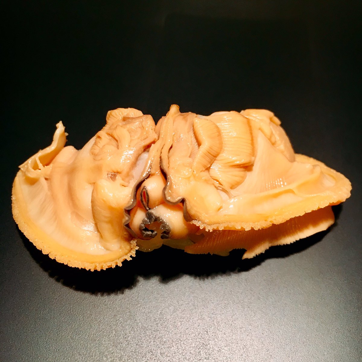 鮨 竹若 本館 Auf Twitter 一気に気温も下がってきて秋ですね 今日は千葉県産のハマグリが美味しく煮上がりました ツマミでも握りでも ひやおろしも各種取り揃えてますよ 是非御賞味を 一貫433円 鮨竹若本館 鮨竹若本館 築地 鮨 寿司 はまぐり 煮