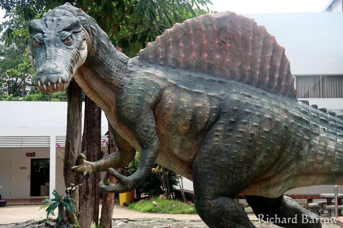 Richard Barrow On Twitter There Are Six Dinosaur