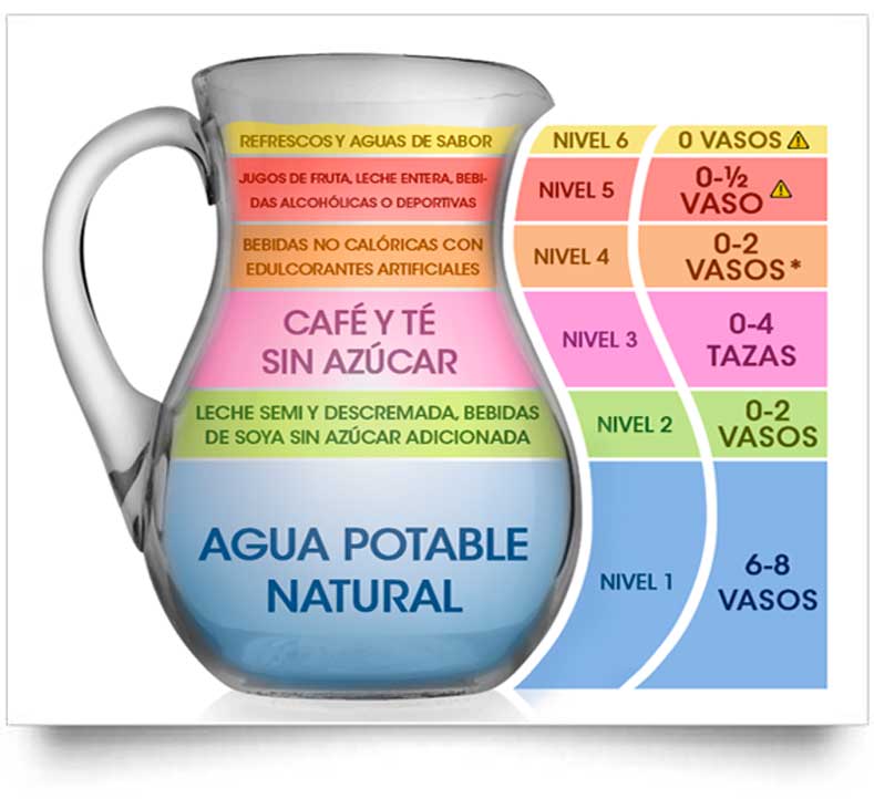 BikiniBody2016's tweet photo. La jarra del buen beber - #bikinibody #beachbody #diet #weightloss https://t.co/0JTliJ7f8Z https://t.co/5rSEdi8hQv