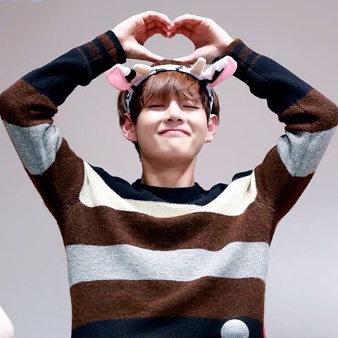 btstaess tweet picture