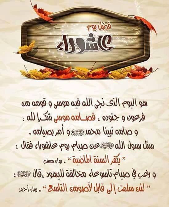 yemen now (@orpmq684s1euubo) on Twitter photo 