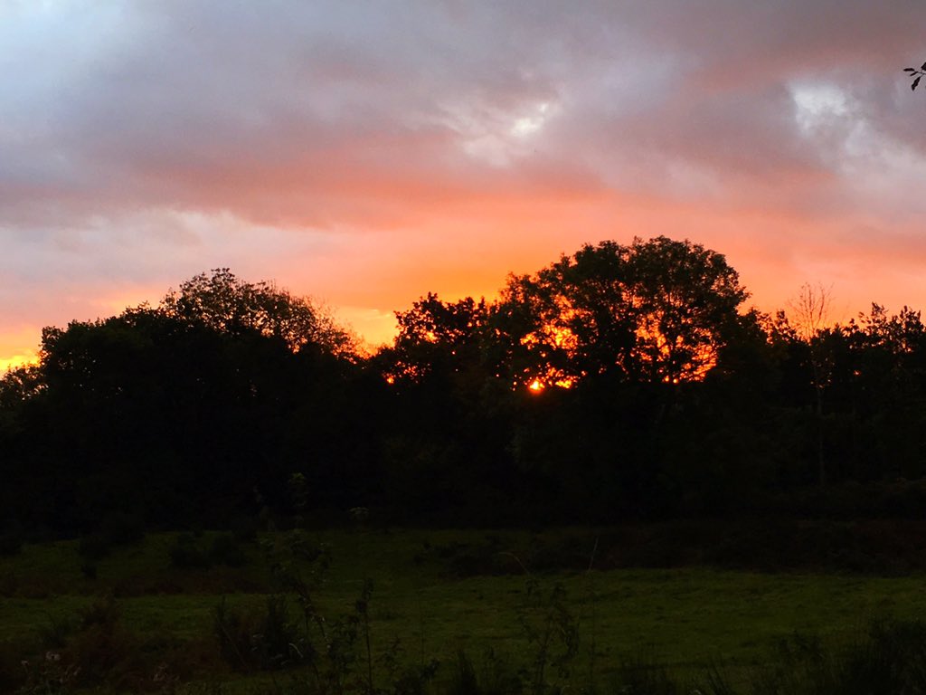 daydreamfoodie's tweet photo. It's easy to catch sunrise everyday this time of year 😍#sheperdswarning https://t.co/gCZu3XwkkA