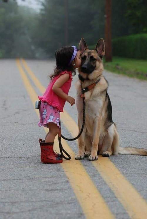 mrsrosaperez's tweet photo. Educa a tus hijos en el amor hacia los animales y crearás un mundo mejor. https://t.co/KNFxgobmA9