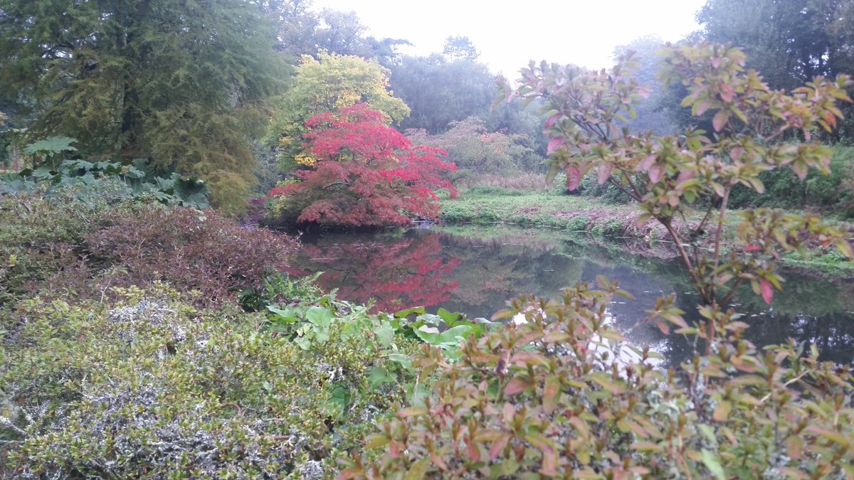 Minterne_Garden's tweet image. Fantastic Autumn colour showing. Time to take a stroll @Minterne_Garden #dorset #octobermagic