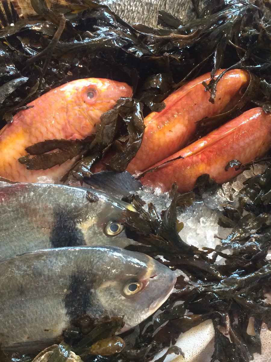 farrant_mark's tweet photo. Fish display all set. Looking forward to the day. #sodexosalon https://t.co/TS0wktKmhz