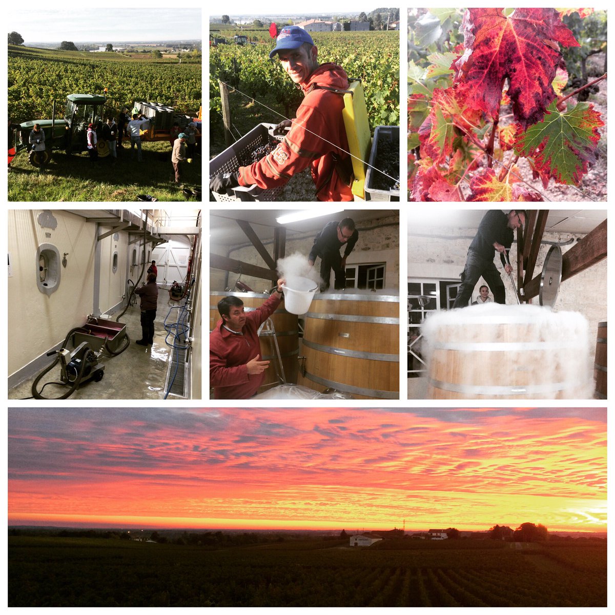 Harvest continues #Gaby style! <a href="/oddbins/">Oddbins</a> <a href="/wineattitudes/">Wines With Attitude</a> <a href="/SmashingWines/">Smashing Wines</a> <a href="/decorumvintners/">Decorum Vintners</a>
