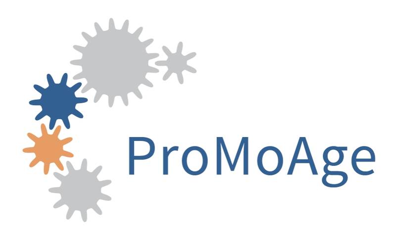 NDissmeyer's tweet photo. Kickoff DFG Graduate Training School 2155 ProMoAge:
Protein Modification &amp; Ageing #proteostasis
@UniHalle @UniJena 

https://t.co/fnEZ7SAczX https://t.co/hJn4M6MgDv