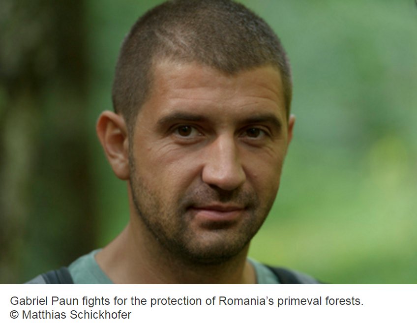 EuroNaturORG's tweet photo. Romanian #forest conservationist #GabrielPaun received EuroNatur Award 2016 #Romania #forestConservation https://t.co/bezZWXRJ79 https://t.co/hDi6DVqJqt
