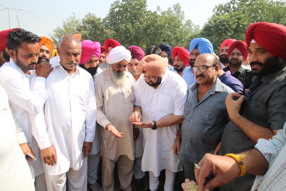 capt_amarinder's tweet photo. Inspecting grains at Fatehgarh Churian Dana Mandi https://t.co/yMvwSmgql2