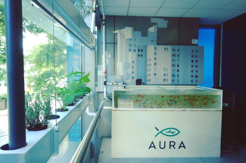 lecubegarges's tweet image. Inauguration + visite du systeme #aquaponie @aura_urbaine du Cube ce soir / gratuit sur résa: lc.cx/oTKd #agricultureurbaine