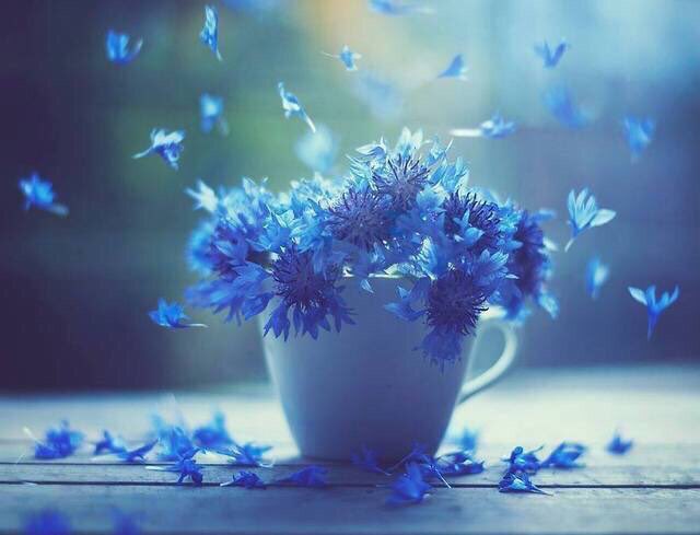 ret500 tweet picture