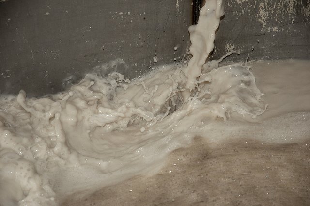 Xtract Filtration tweet media