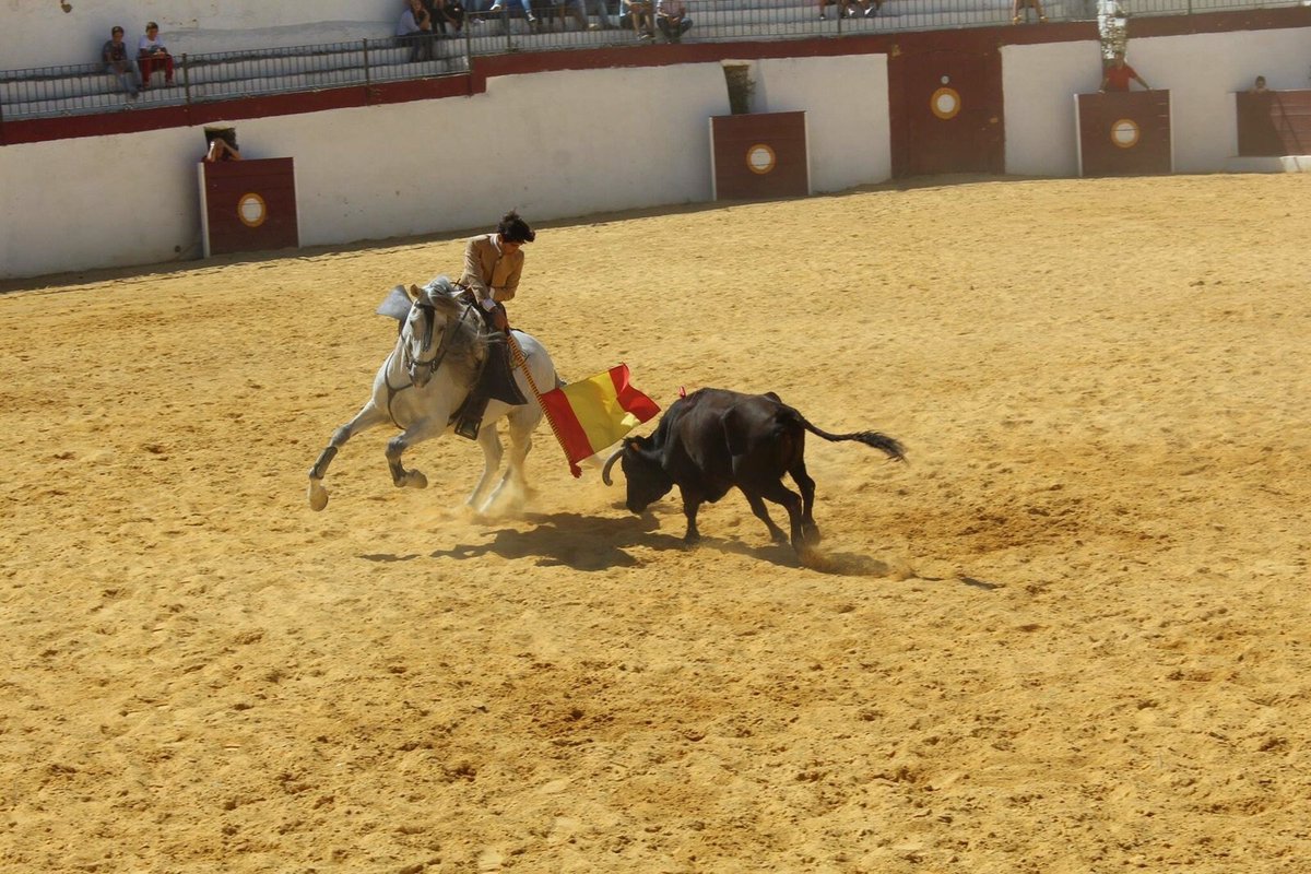 Viva España, Viva la tauromaquia. Feliz día de la Hispanidad!!