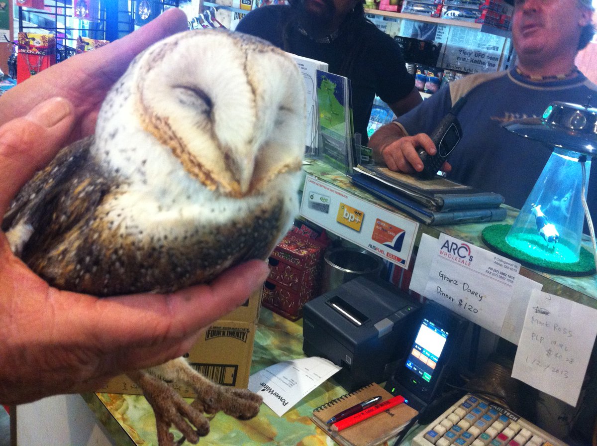 Barn Owl Centre On Twitter Always Satisfying Aiding Rescues Our