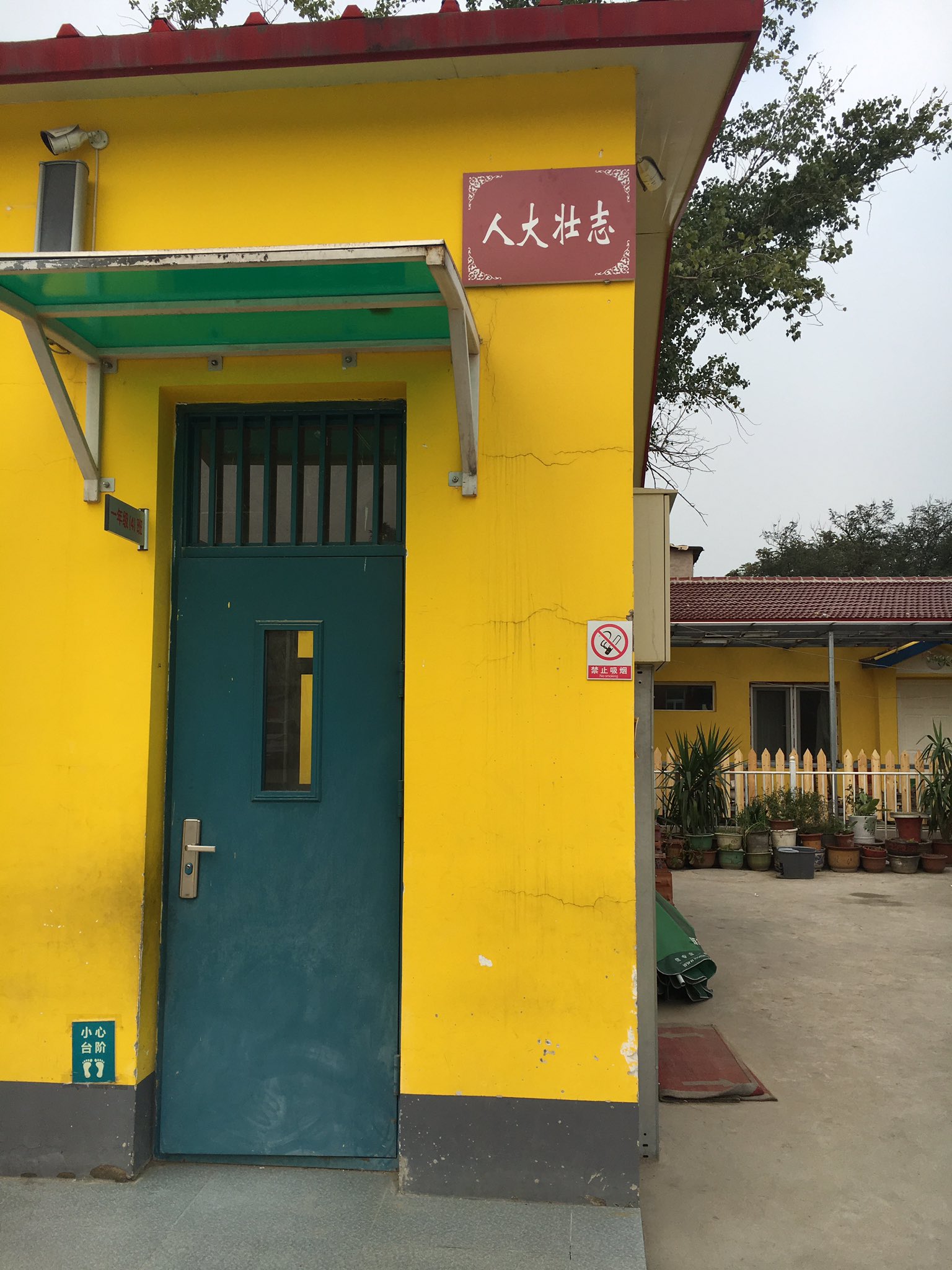 renjie-bao-on-twitter-the-second-year-to-volunteer-in-this-primary