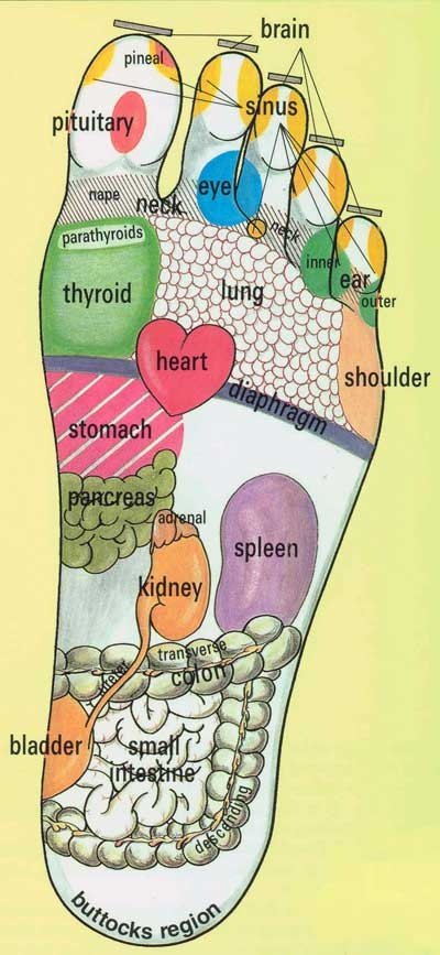BikiniBody2016's tweet photo. Foot Reflexology. massage the part of your ... - #bikinibody #beachbody #diet #weightloss https://t.co/tfuuvg0DUb https://t.co/sZX6Ld0xoJ