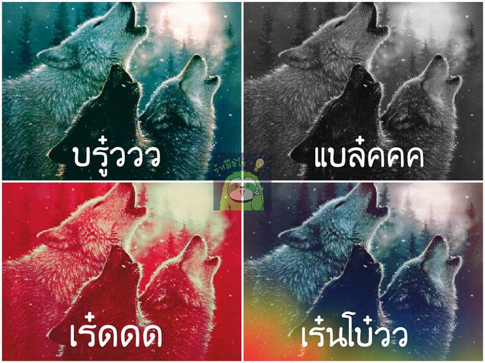 ibangearn's tweet photo. นี่ว่าจะไม่ขำละนะ ไม่พอยังลองออกเสียงตามด้วย เฮียมาก .. เร๋นโบ๋วว 55555555555555555555555555555555555555555555 https://t.co/dtQPxCCAbF