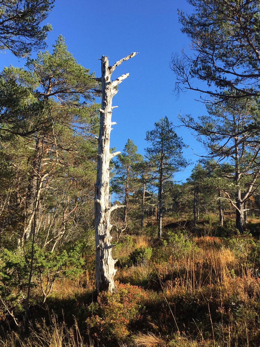 ekljohnsen's tweet photo. Home sweet home. Høstferie i #molde https://t.co/4skMSv6u8y
