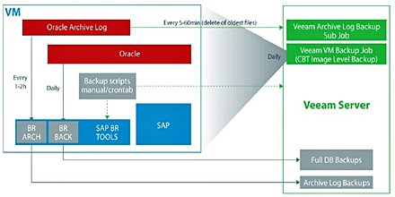 Oracle level. Оракл серверы. sap oracle. схемы в sap oracle. интерфейс платформы sap.