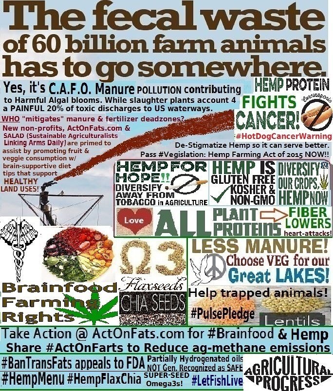 OmegaFatsAction's tweet photo. Salad farming #greenjobs matter in #MenuReform. Appeal 4 eco #vegan that cleans up #manurerunoff. #helpUsGrow green! https://t.co/bKjR5gPuLs