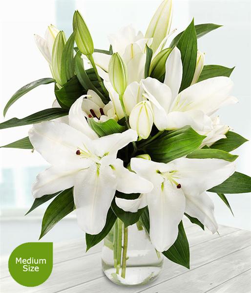 A classical all white bouquet.