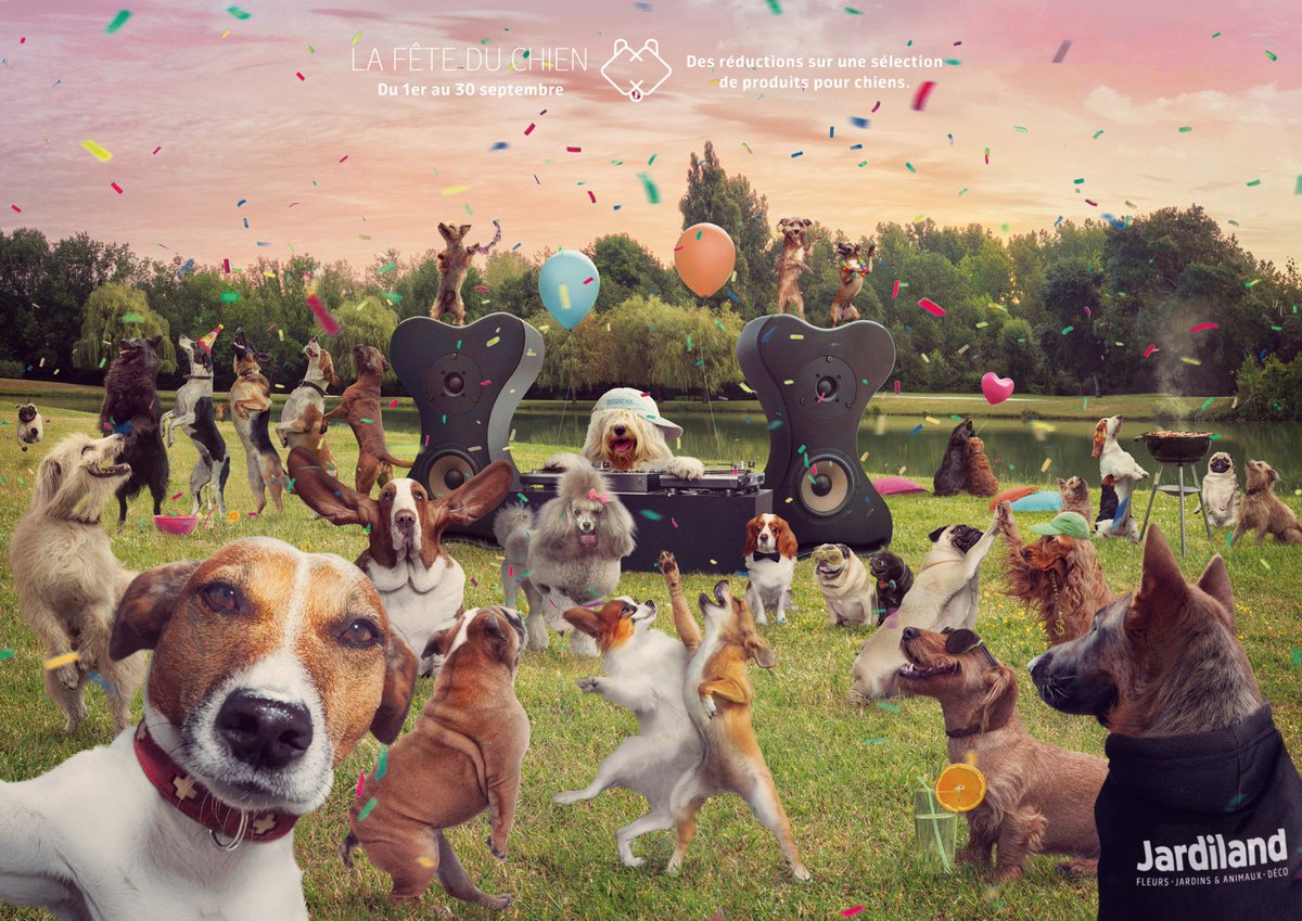 lachoseparis's tweet photo. #HotChose On vient de retrouver les photos de la fête du chien du mois dernier chez @Jardiland ! ça envoyait du pâté! #Theplacetobe #lachose https://t.co/MPsT2TUuJM