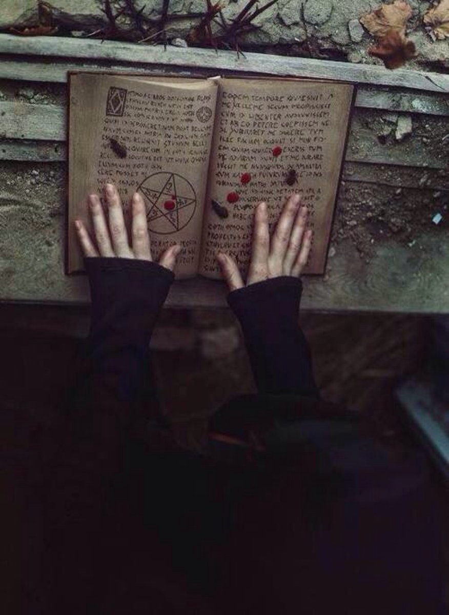 BUSCO ROL tweet media