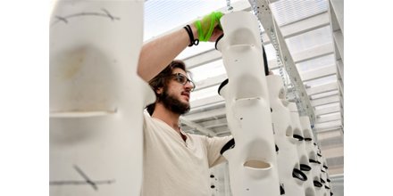 Aquaponics lab debuts Downtown as urban farming project gettopical.com/aquaponics/6aa… via <a href="/PittsburghPG/">Pittsburgh Post-Gazette</a>