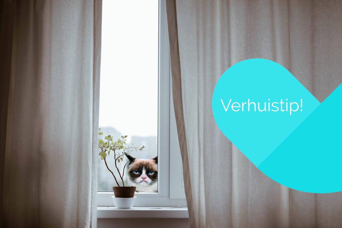 moovyn's tweet photo. #verhuistip! Neem alle gordijnen af, maar laat het setje op je slaapkamer hangen tot op de verhuisdag. Zo vermijd je ongewenste bezoekers! https://t.co/X92TbNkLq4