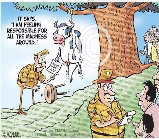 AzeemWyne's tweet photo. Cow is more safe than a woman in Endia #shamelessindians https://t.co/Ic2qgHMihT