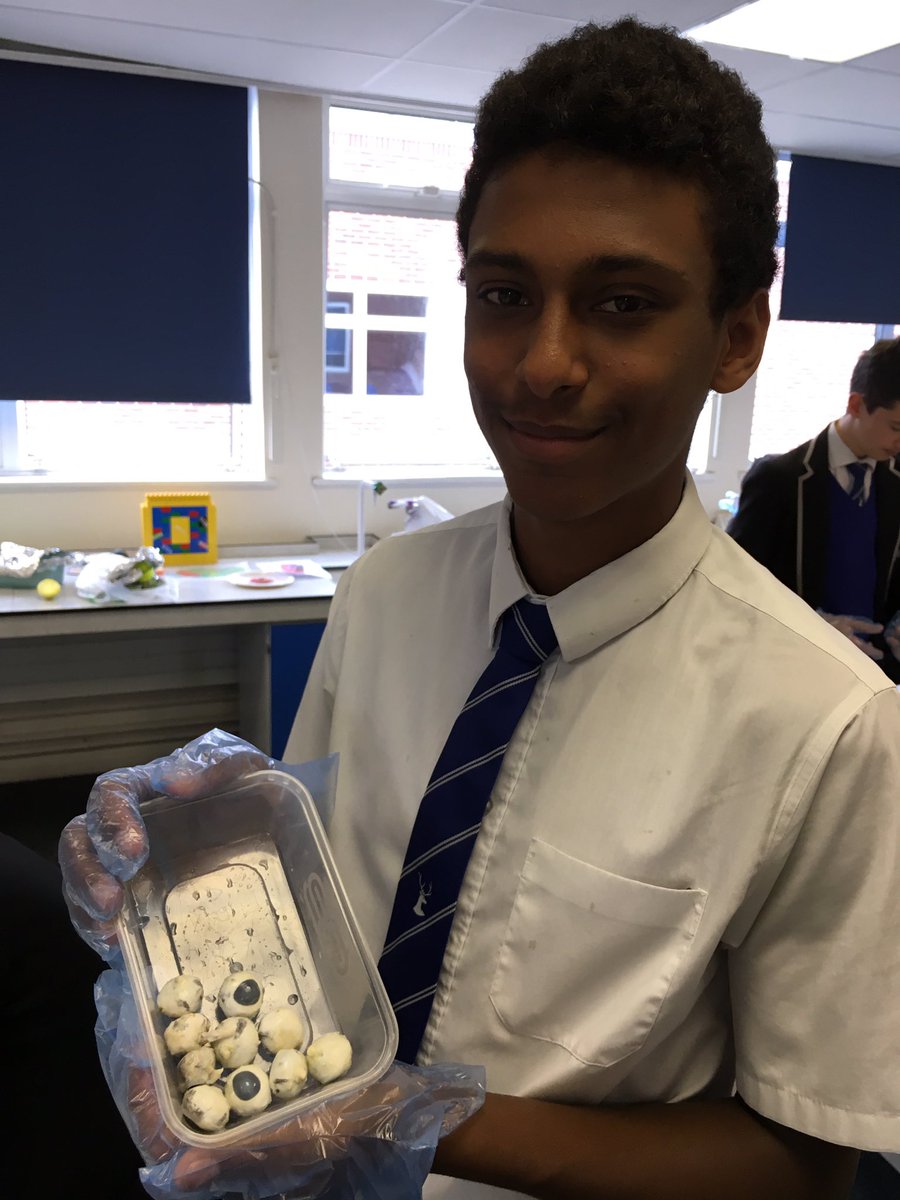 GreyCourtSci's tweet photo. Year 11 #GCPhysics learning about lenses and the eye with eye direction. #GCYear11 #physics @GreyCourtTweets https://t.co/anzd9W1QEs