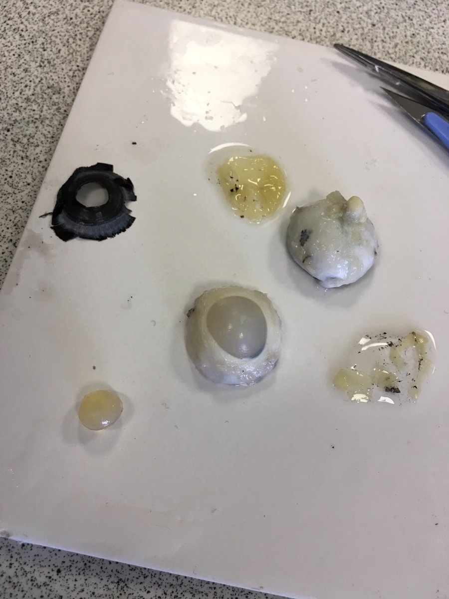 GreyCourtSci's tweet photo. Year 11 #GCPhysics learning about lenses and the eye with eye direction. #GCYear11 #physics @GreyCourtTweets https://t.co/anzd9W1QEs