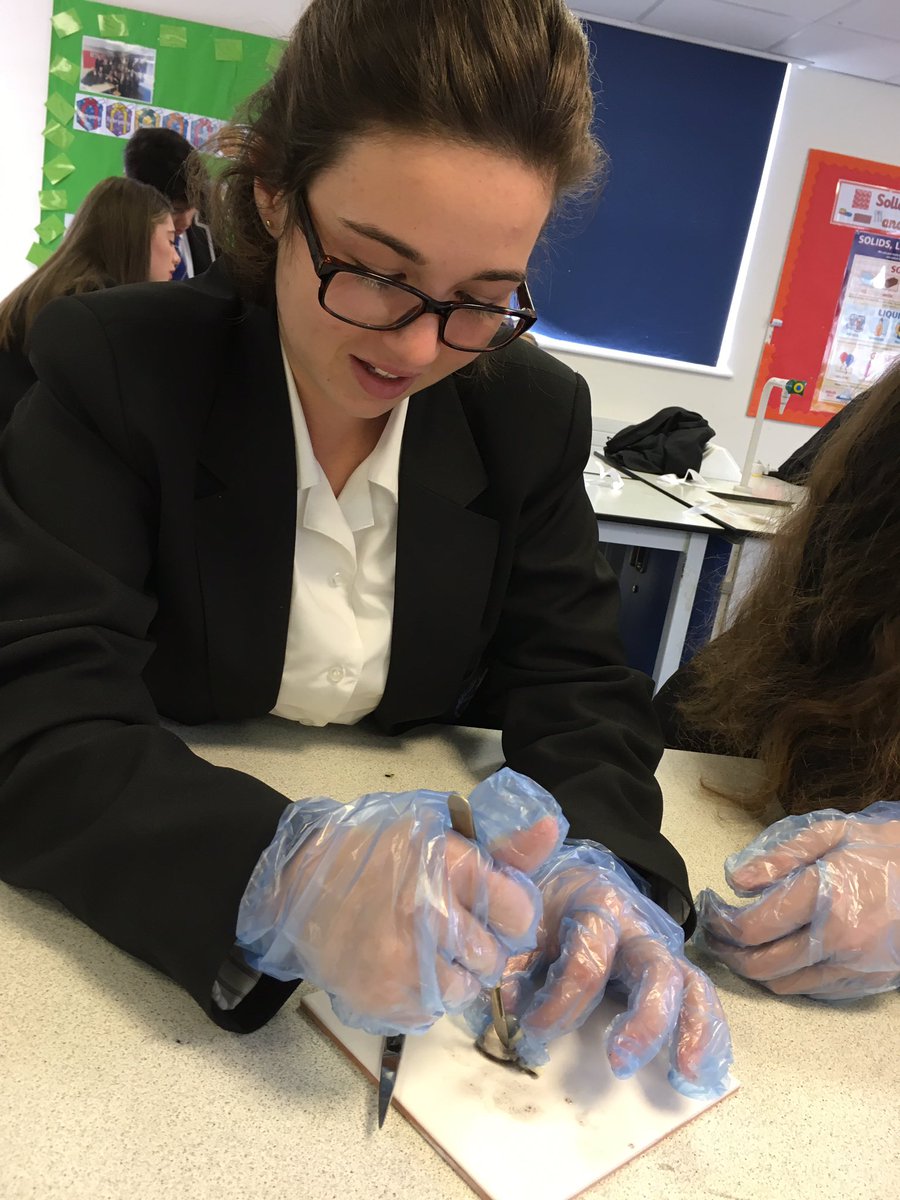 GreyCourtSci's tweet photo. Year 11 #GCPhysics learning about lenses and the eye with eye direction. #GCYear11 #physics @GreyCourtTweets https://t.co/anzd9W1QEs