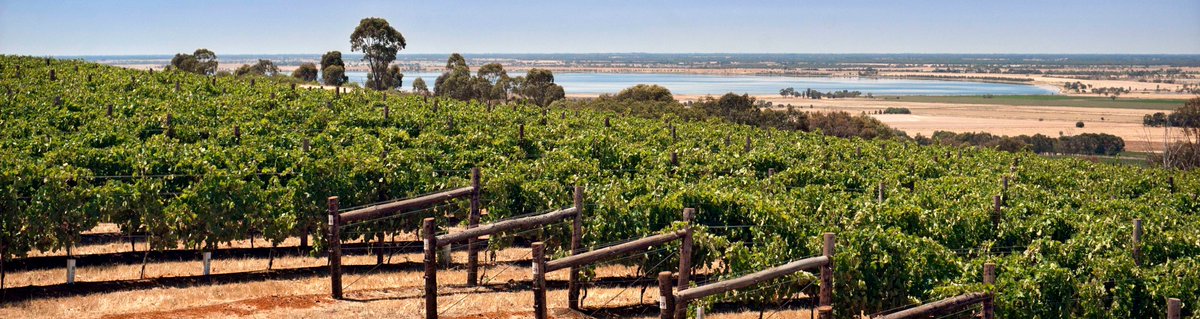 This Sat 2-4pm pop by for a taste - Kim Chalmers herself will be showing our new <a href="/MontevecchioAus/">Montevecchio Wines</a> range from <a href="/OWLOEB/">O.W. LOEB</a> #SaturdayonHildrethSt