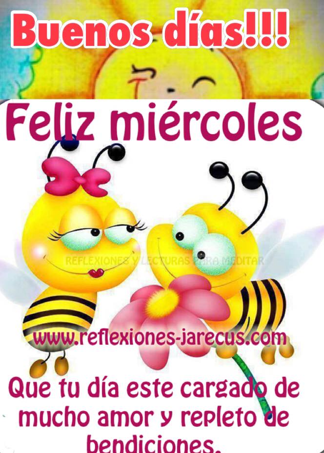 Patricia Nunez Buenos Dias Mi Gente Bella Feliz Y Bendecido Miercoles Patricia Nunez Buenos Dias Mi Gente Bella Feliz Y Bendecido Miercoles