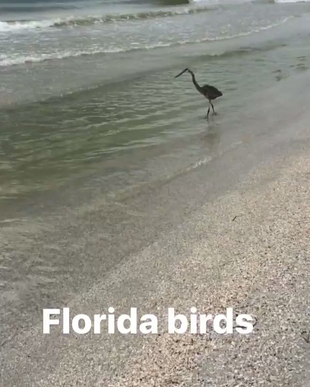 #Grateful that I get to live where ever I want around the world, yet sometimes walking dow… ift.tt/2e5lRqm