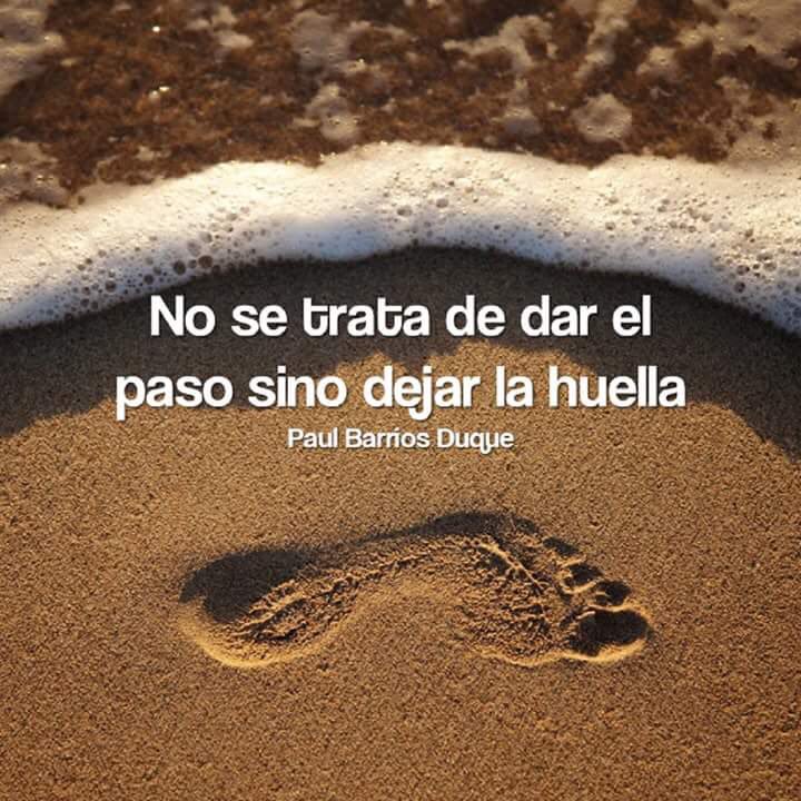 BullTKBear's tweet photo. @lmcaboblanco muchas gracias por tanto, perdón por tan poco 🙏 Has dejado huella 🔝 https://t.co/uyCGAGAo04