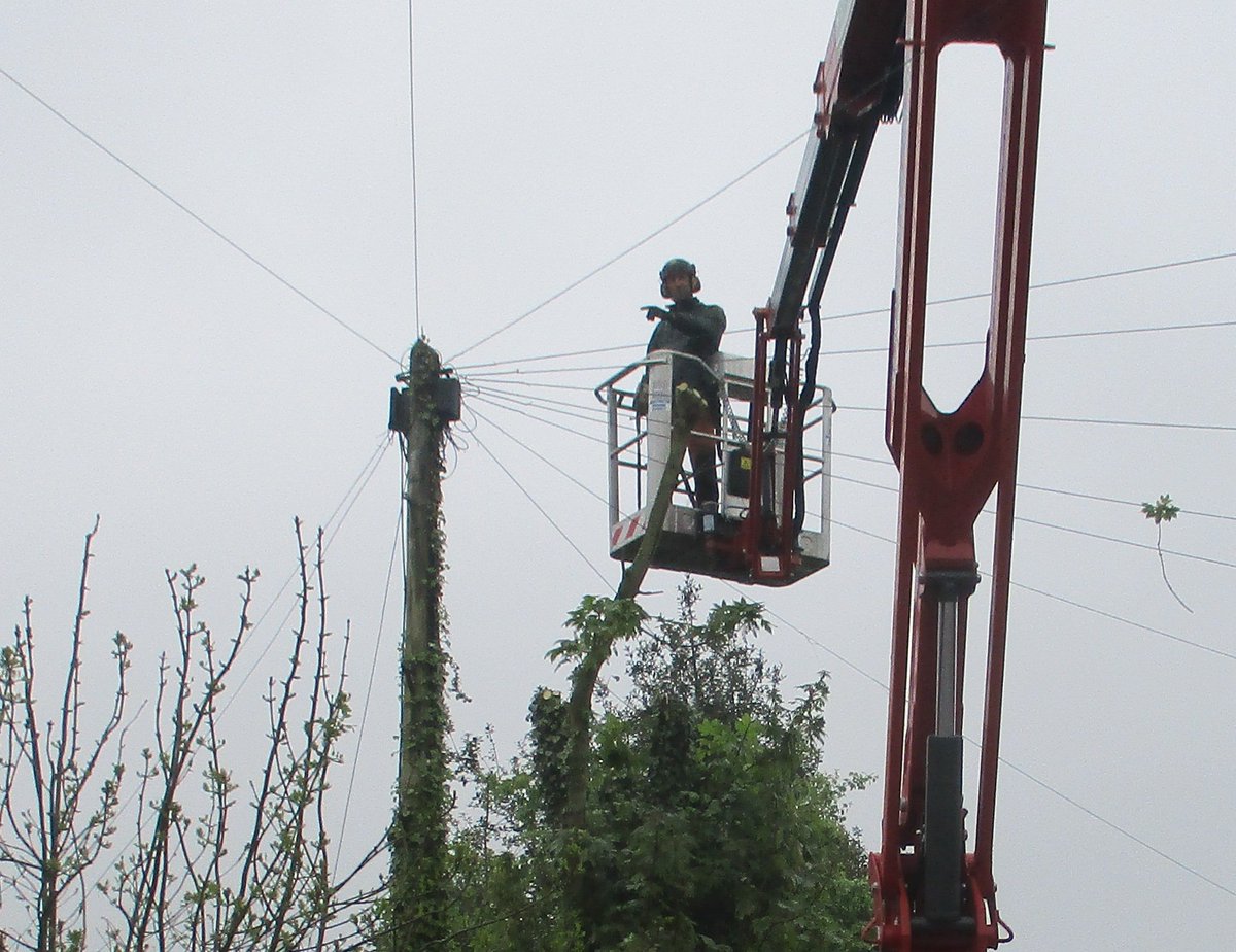 Romanrivertrees's tweet image. BT Overhead Phone Line Chaos in Totham. Not all the tree surgery jobs we are asked to carry out are simple. #totham #essex #treesurgeon