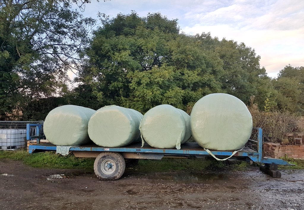 ChasSutcliffe's tweet photo. Last bit of silage made on Friday the baler lost contact with tractor when the plug came out! Glad it was spotted quickly. #SuperBale 🚜😲😂 https://t.co/14Lf030lnp