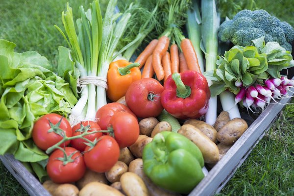 vendrepointcom's tweet photo. #AntiGaspi : 5 #conseils anti-gaspillage alimentaire -https://t.co/5AwBkzSCpp https://t.co/nxqeWE2GxV