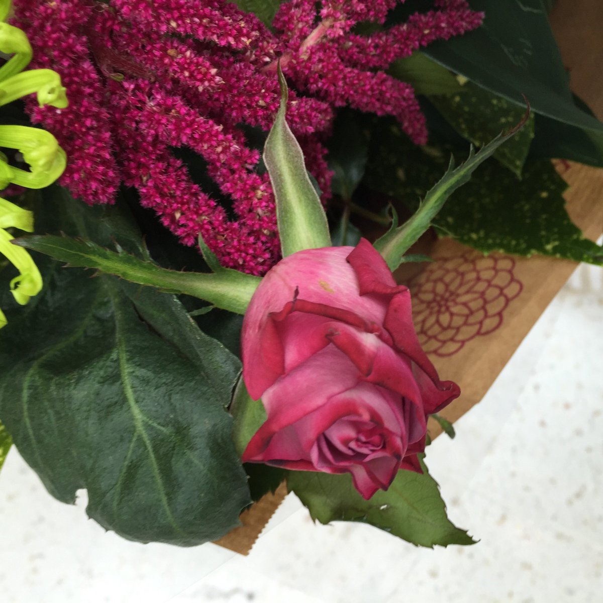Make someones day with flowers. ow.ly/HpQb3051W6D
