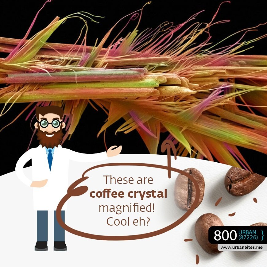 UrbanbitesUAE's tweet photo. Zooming in for a bigger picture! #coffeelovers #CoffeeCrystal #urbanbites  #myabudhabi #MyUrbanbites #urbanbitesFans #UAE #ABUDHABI https://t.co/kz2JVVrvv2