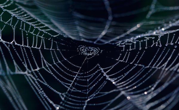 coinalytics's tweet photo. RT coindesk: Study Finds Bitcoin Has a New Top Dark Market https://t.co/1JK09oqpwx https://t.co/2IOjUzyhFu