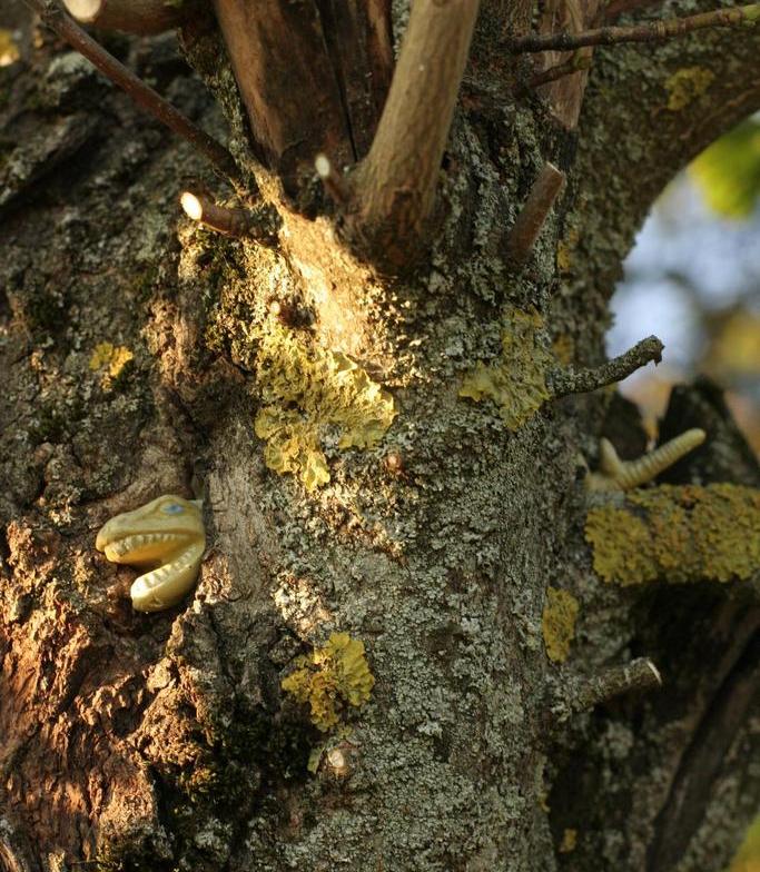 Eating_a_T.Rex #treeseatingthings